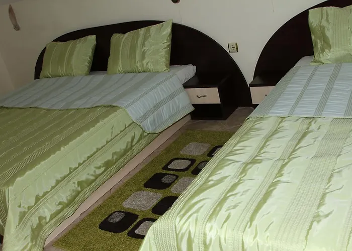 Vlasta Family Hotel 2*